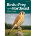 Birds of Prey of the Northeast Field Guide