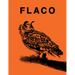 Flaco: The Owl Who Escaped Captivity and Won the Hearts of the World