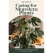 A mini-guide to caring for the Monstera plant