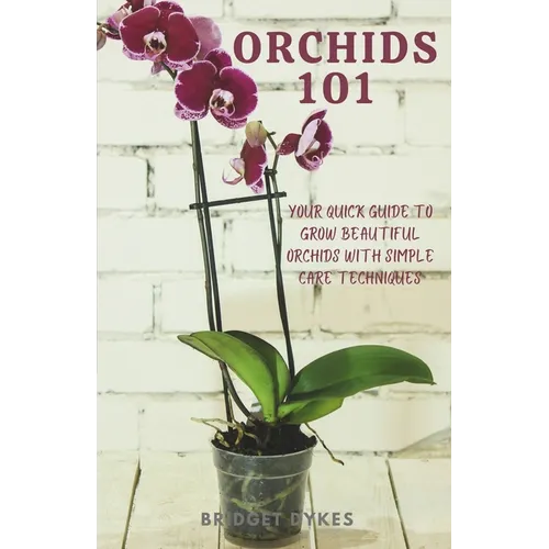 Orchids 101: Your quick guide to grow beautiful orchids with simple care techniques