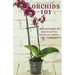 Orchids 101: Your quick guide to grow beautiful orchids with simple care techniques