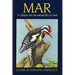 Mar: A Glimpse Into the Natural Life of a Bird