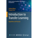 Introduction to Transfer Learning: Algorithms and Practice