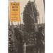 Tinged with Gold: Hop Culture in the United States