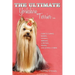 The Ultimate Yorkshire Terrier Book: Guide to Caring, Raising, Training, Breeding, Whelping, Feeding and Loving a Yorkie