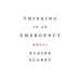 Thinking in an Emergency