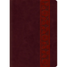 Study Bible-ESV-Large Print Trellis Design