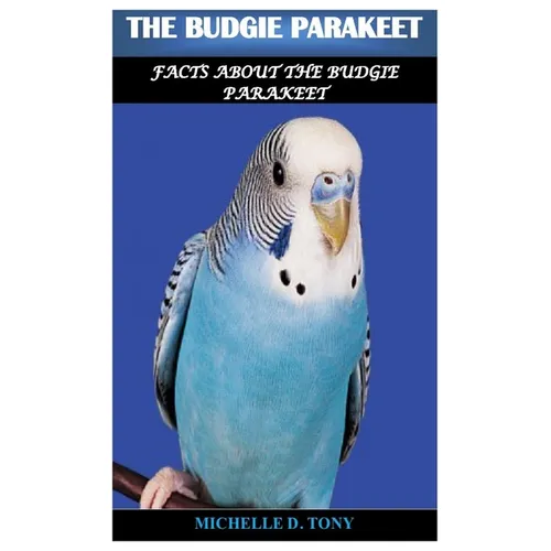 The Budgie Parakeet: Facts About The Budgie Parakeet
