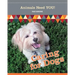 Caring for Dogs
