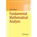 Fundamental Mathematical Analysis