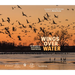 Wings Over Water: The Vital Magic of North America's Prairie Wetlands