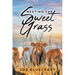 Meeting the Sweet Grass