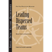 Leading Dispersed Teams