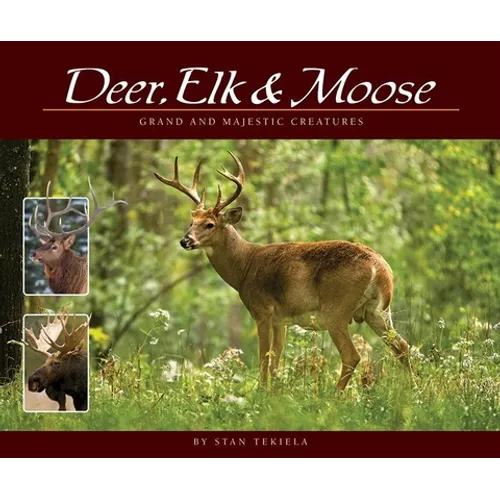 Deer, Elk & Moose: Grand and Majestic Creatures
