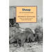 Sheep: Life on the South Dakota Range