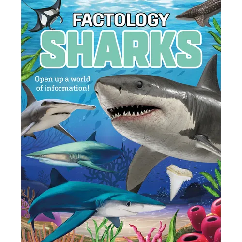 Factology: Sharks: Open Up a World of Information!