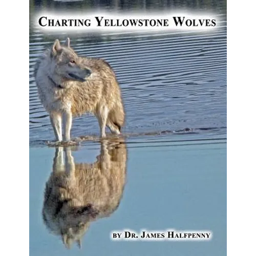 Charting Yellowstone Wolves