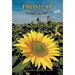 Prosilio: Toward the Sun
