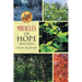 Miracles of HOPE: Valerie's Journey