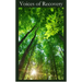 Voices of Recovery