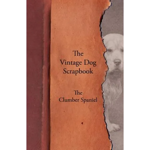 The Vintage Dog Scrapbook - The Clumber Spaniel