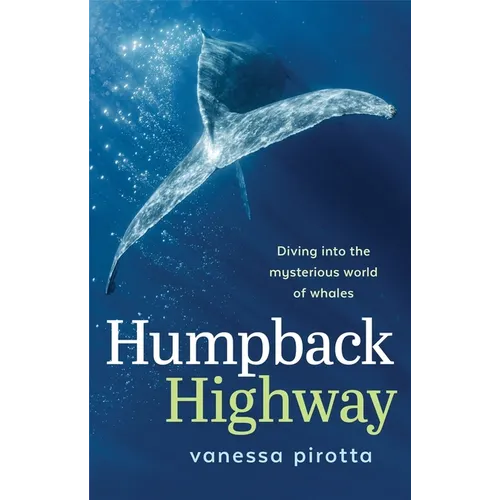 Humpback Highway: Diving into the mysterious world of whales