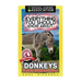 Everything You Should Know About: Donkeys Faster Learning Facts