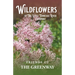 Wildflowers of The Little Tennessee River Greenway