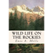Wild Life on the Rockies