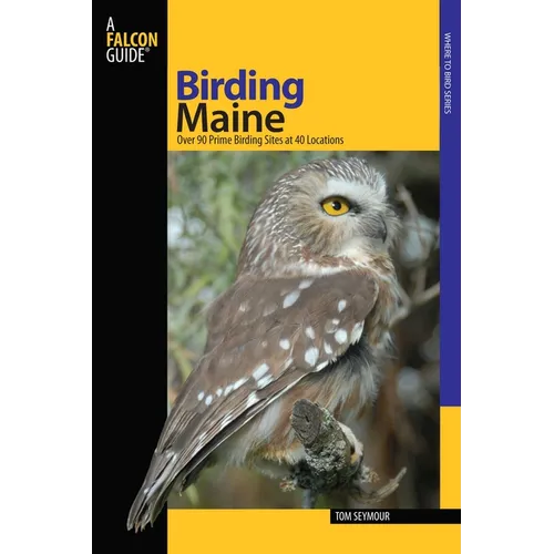 Birding Maine