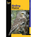 Birding Maine