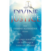 Divine Justice: The Dianne Alexander Story