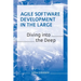 Agile Software Development in the Large: Diving into the Deep