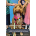 Teachers and Therapy Dog Teams: Innovative Collaborations to Make a Difference for Children