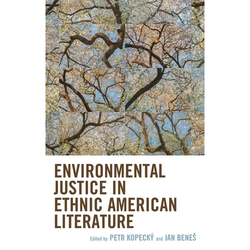 Environmental Justice in Ethnic American Literature
