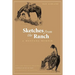 Sketches from the Ranch: A Montana Memoir