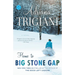 Home to Big Stone Gap