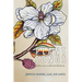 Plant Songs: Reflections on Herbal Medicine