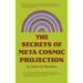 The Secrets of Meta-Cosmic Projection