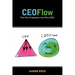 CEOFlow: Turn Your Employees Into Mini-CEOs