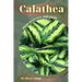 Calathea: Plant overview and guide