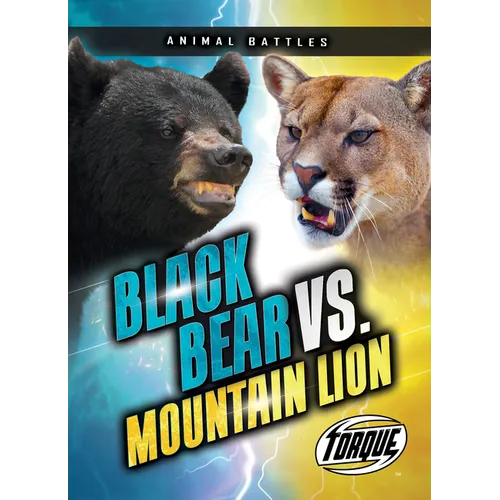 Black Bear vs. Mountain Lion