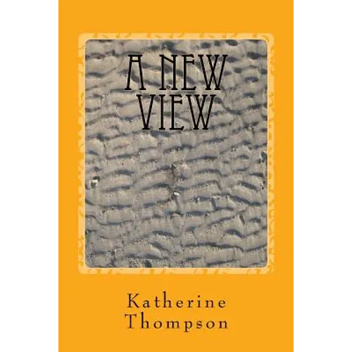 A New View: Dissociative Identity Disorder in Picture