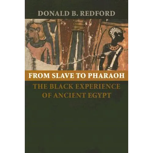 From Slave to Pharaoh: The Black Experience of Ancient Egypt