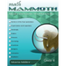 Math Mammoth Grade 6 Skills Review Workbook