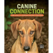 Canine Connection: How Dogs and Humans Evolved Together