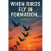 When Birds Fly In Formation