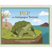 Pep the Galapagos Tortoise