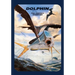 Dolphin: The Perfect Gamefish