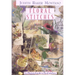 Floral Stitches